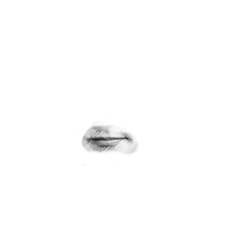 Pilot photo