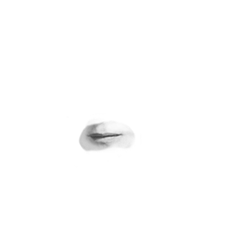 Pilot photo
