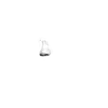 Pilot photo